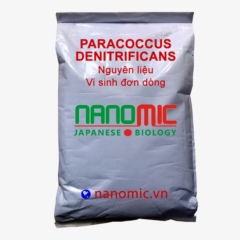 Paracoccus denitrificans - Vi sinh đơn dòng