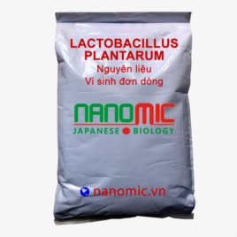 Lactobacillus plantarum - Vi sinh đơn dòng