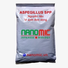 Aspegillus spp - Vi sinh đơn dòng