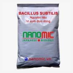 Bacillus subtilis - Vi sinh đơn dòng