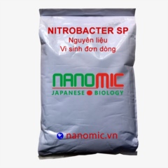 Nitrobacter sp - Vi sinh đơn dòng