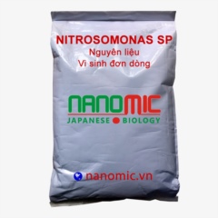 Nitrosomonas sp - Vi sinh đơn dòng