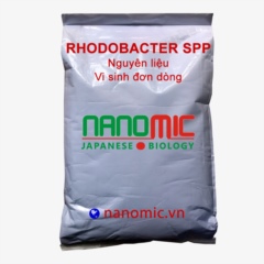 Rhodobacter spp - Vi sinh đơn dòng