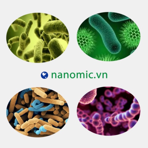 Công ty TNHH Công nghệ Sinh học Nanomic