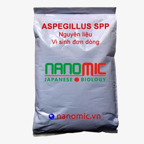 Aspegillus spp